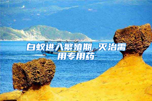 白蚁进入繁殖期 灭治需用专用药