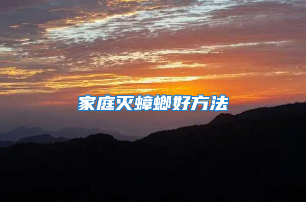家庭灭蟑螂好方法