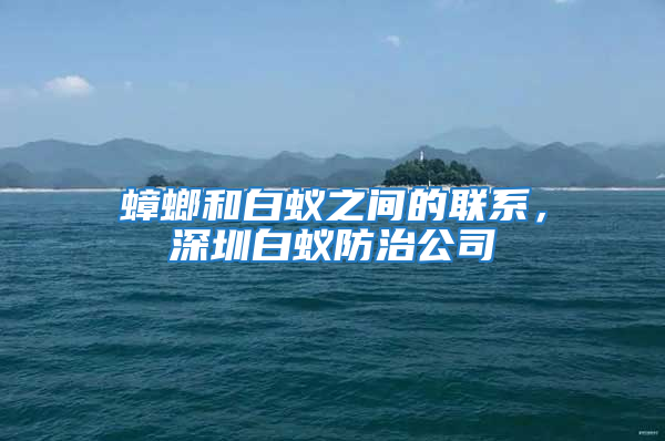 蟑螂和白蚁之间的联系，深圳白蚁防治公司