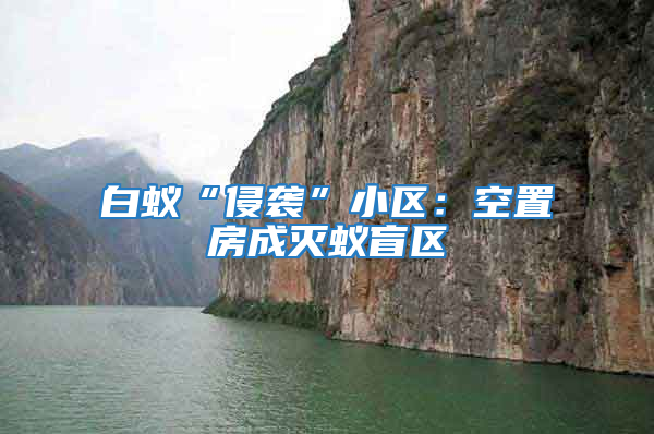 白蚁“侵袭”小区：空置房成灭蚁盲区