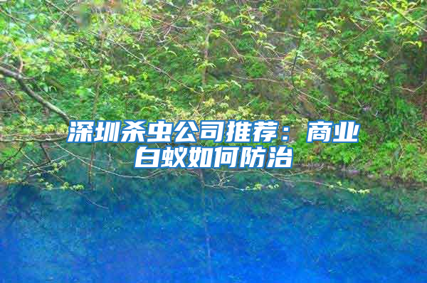 深圳杀虫公司推荐：商业白蚁如何防治