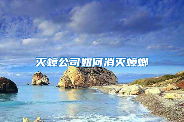 灭蟑公司如何消灭蟑螂