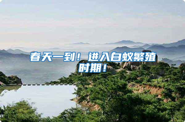 春天一到！进入白蚁繁殖时期！