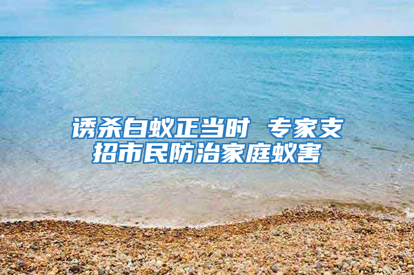 诱杀白蚁正当时 专家支招市民防治家庭蚁害