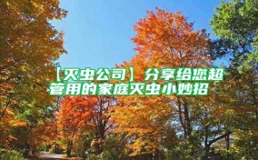 【灭虫公司】分享给您超管用的家庭灭虫小妙招
