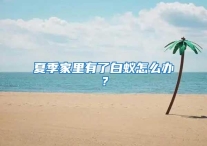 夏季家里有了白蚁怎么办？