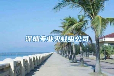 深圳专业灭蛀虫公司