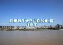 如果有飞蚁飞进你的家,要注意了
