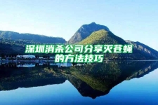 深圳消杀公司分享灭苍蝇的方法技巧