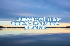 【深圳杀虫公司】什么是熏蒸杀虫？进出口熏蒸杀虫方案规范