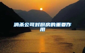 消杀公司对厨房的重要作用